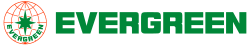 Evergreen