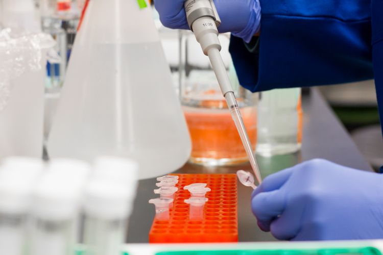 Precursor Chemicals
