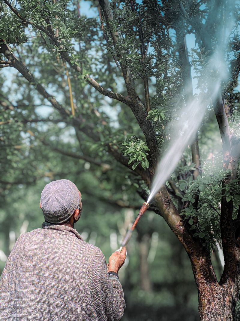 Pesticides & Fertilizers